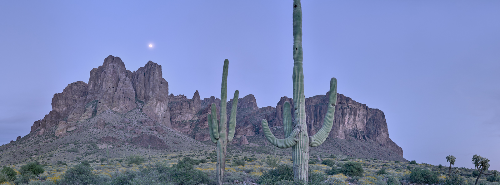 Panoramic, landscape, photography, moonrise, twilight, Arizona, Superstitions, sonoran, desert, spring, cactus, saguaro, paysage...